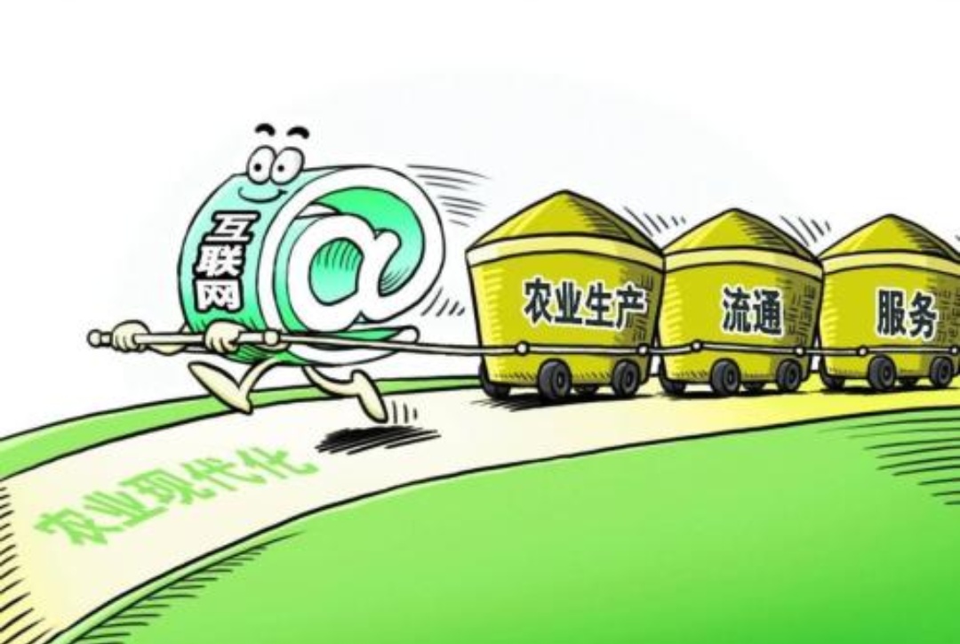 最新三农电商，背景、发展、影响与时代地位全面解析