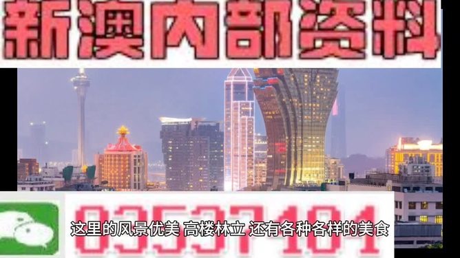 新澳免费资料精准大全,实践调查说明_影像版32.691