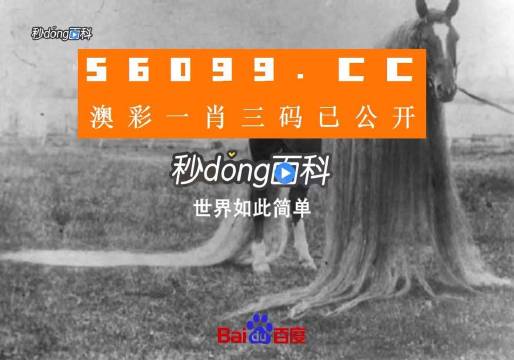 澳门必中一一肖一码服务内容,专家解说解释定义_桌面款4.452