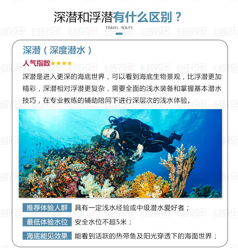 美人鱼…澳门正版资料,创新解释说法_体验版87.249