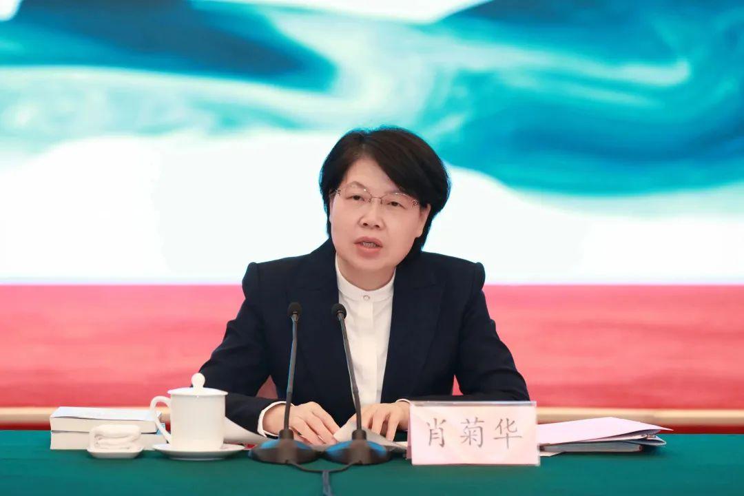 肖菊华调到甘肃原因分析,安全设计解析说明法_社交版90.146