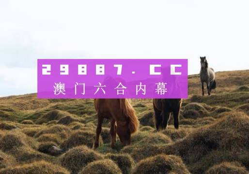 2024年新澳门彩历史开奖记录走势图,揭秘解析中心_未来版37.751