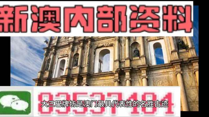 2024新澳门正版精准免费大全,实地观察解释定义_紧凑版19.304