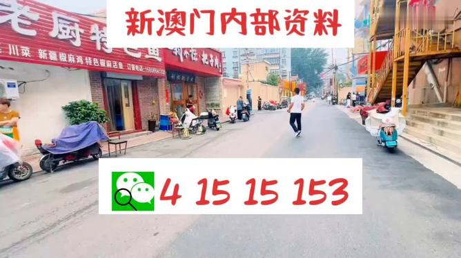 2024澳门天天开好彩资料？,灵活执行方案_效率版11.259