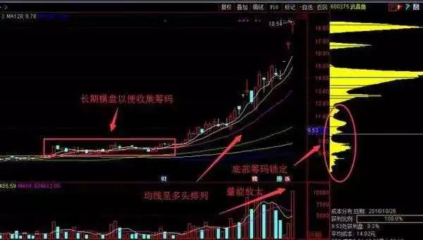 三肖三期必出特马,高速响应计划执行_智慧共享版82.544