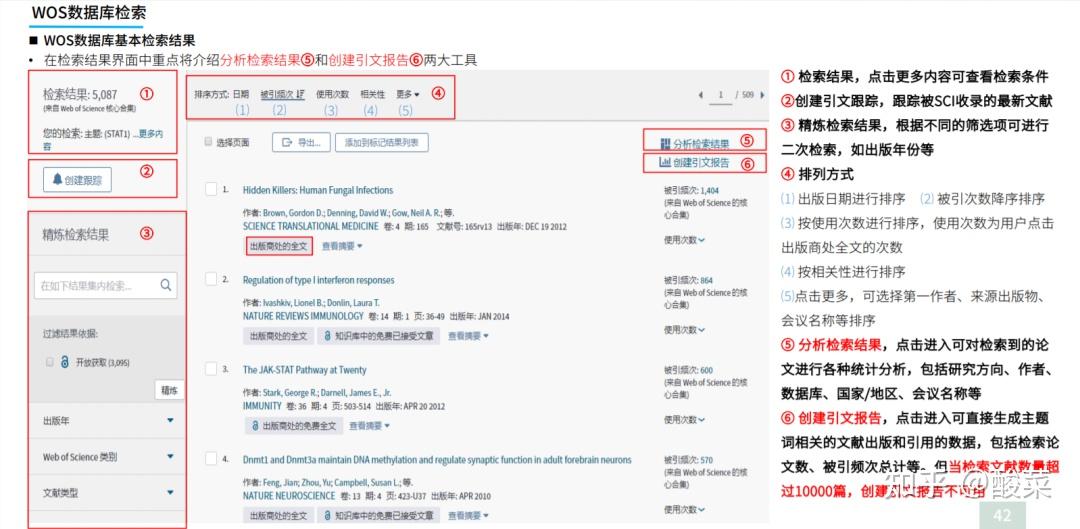 新奥精准免费资料提供,释意性描述解_光辉版90.793