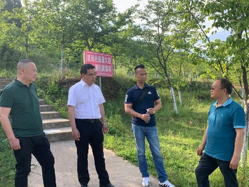 中江辑庆最新任务完成指南详解