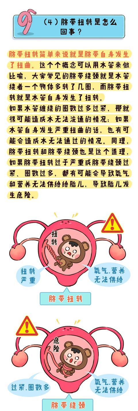 暗珠胎结最新探索揭秘，神秘世界的最新发现与揭秘