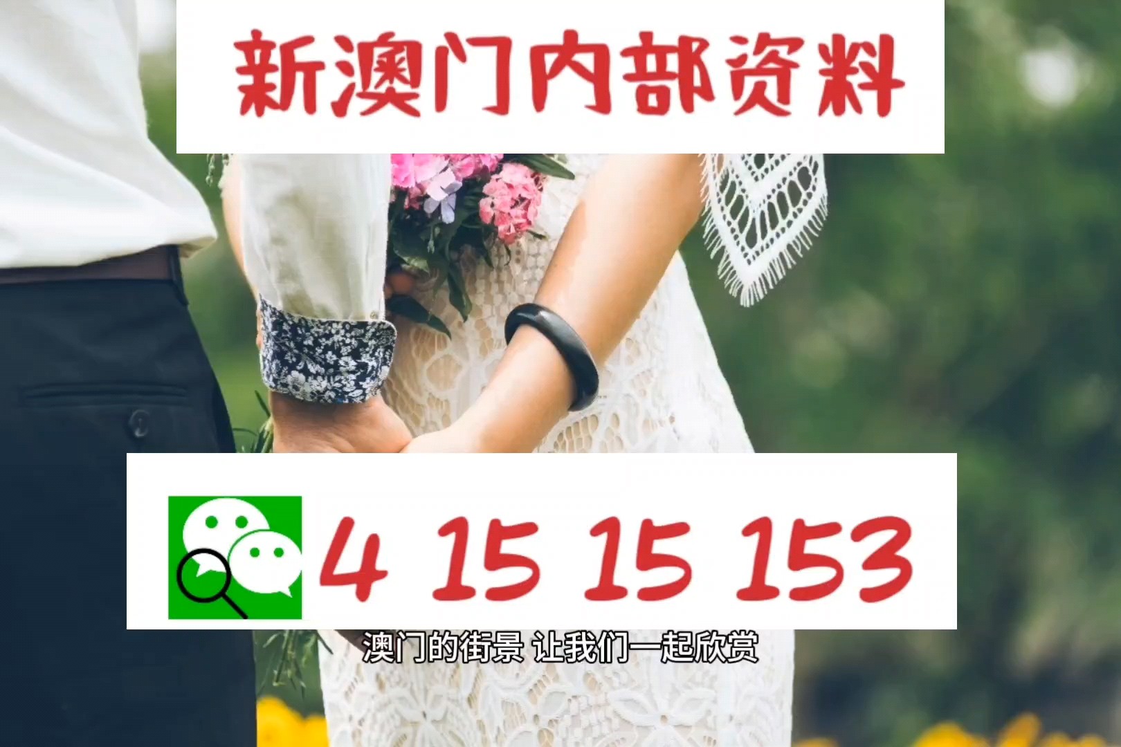 2024澳门正版资料免费,权威解析方法_发布版63.176