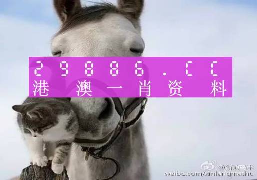 今晚一肖一码澳门一肖四不像,推动策略优化_可穿戴设备版6.645