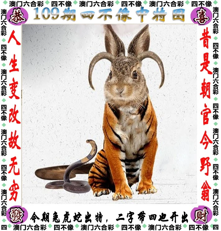 四不像今晚必中一肖,全身心解答具体_世界版23.310