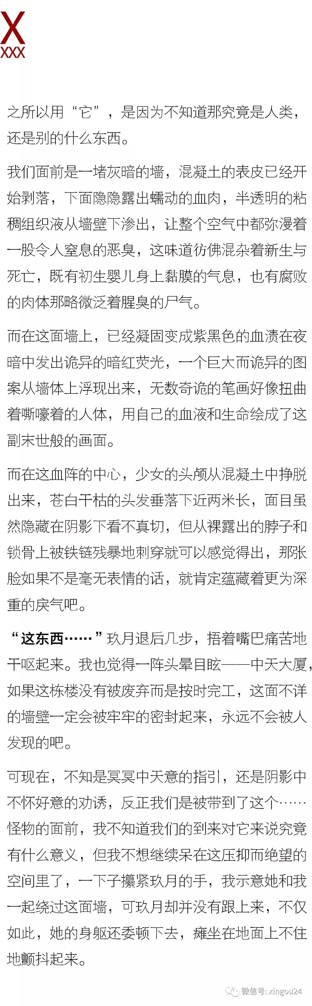 广东二八站82187的历史背景,信息明晰解析导向_穿戴版99.207