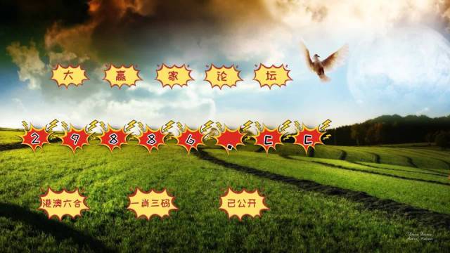 新澳门彩4949历史记录,数据解析引导_限量版48.177