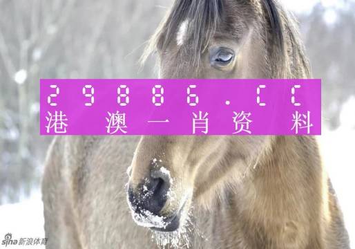澳门精准一肖一码100%我问问90297聪明,案例实证分析_编辑版91.283