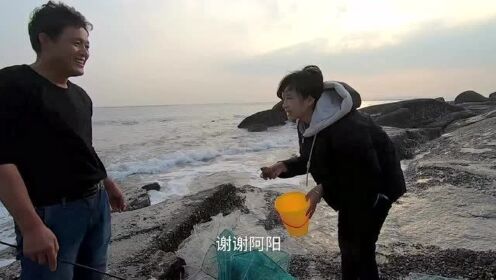 最新阿阳赶海，传统与现代的完美交融之旅