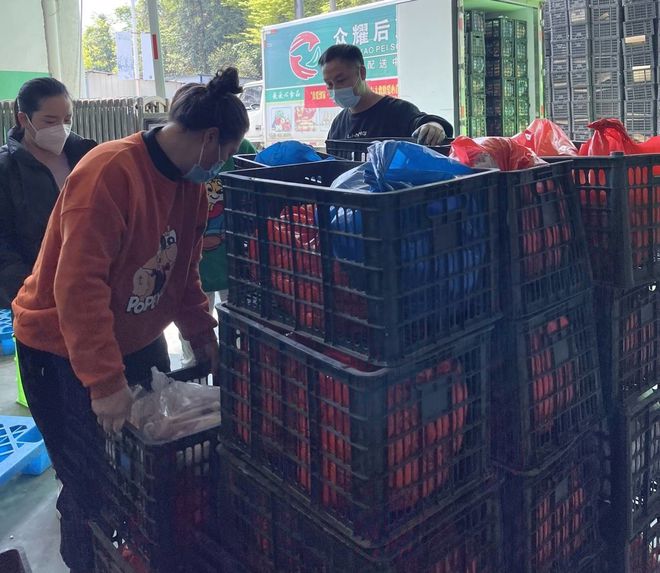 柳市最新疫情全面解析与密切关注通知