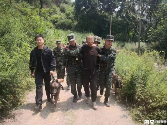 陕西凤翔案件最新进展深度解析，案件要点全面梳理与解析