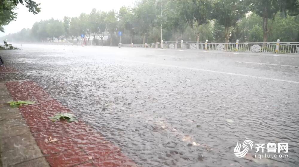 青岛大暴雨背后的美景探索，心灵洗涤之旅