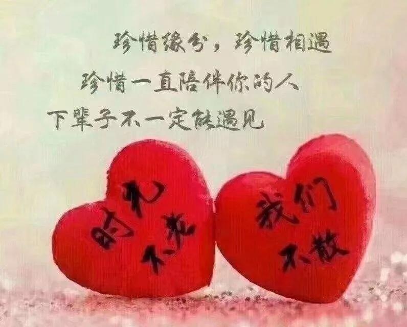 最新感恩图片及其背后的感人故事