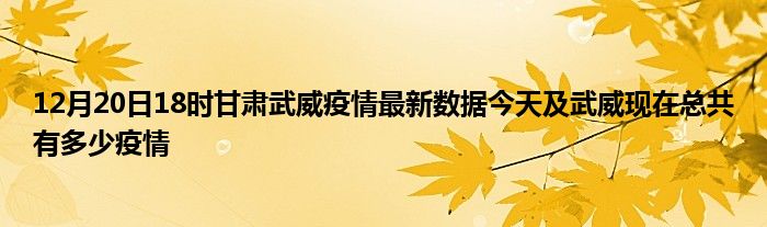 武威最新疫情动态，科技智能守护健康，引领未来抗疫之路
