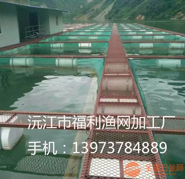 革新海洋渔业，最新养殖网箱技术引领现代养殖潮流