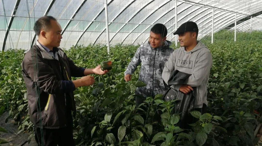 顾地科技引领科技新潮流，开启未来新篇章，最新公告揭秘发展动态！