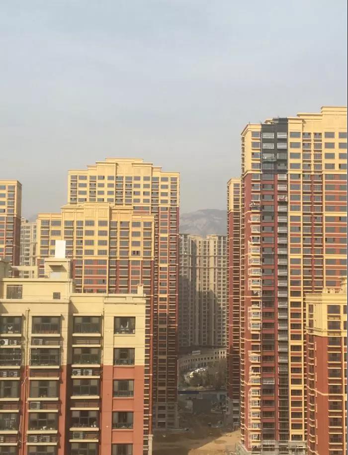 开元盛世最新动态，日常奇遇的温馨展现