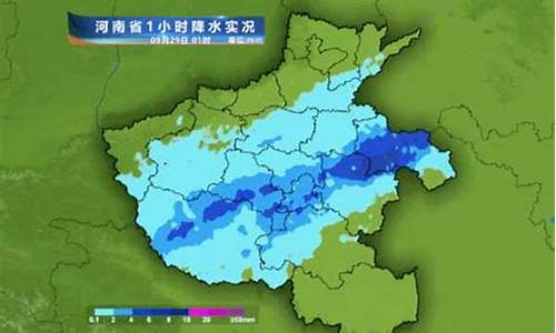 河南最新雨情及深度分析