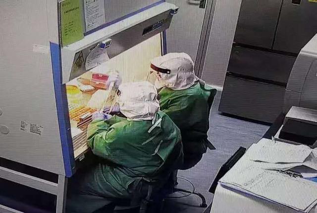 最新病毒资讯,最新病毒资讯，小明的病毒追踪奇遇与友情的力量
