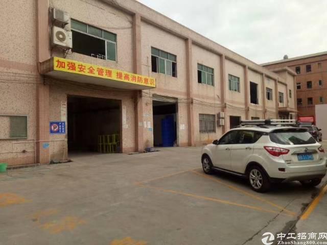 松岗最新出租信息及巷弄深处小店探秘