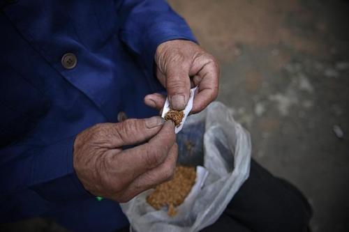 红包日历最新版下载，多元视角探讨应用下载体验