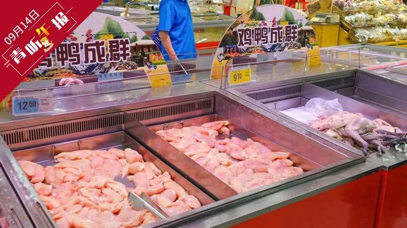 鸡胸肉行情揭秘，自然美景背后的旅行探索之旅