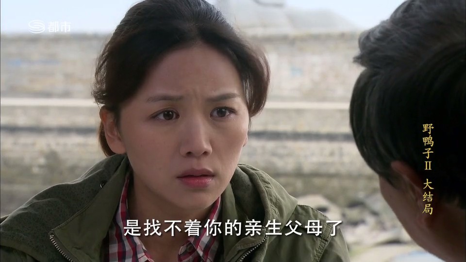 野鸭子2电视剧全集,野鸭子2电视剧全集，再次感受那份真挚的情感与生活的真实