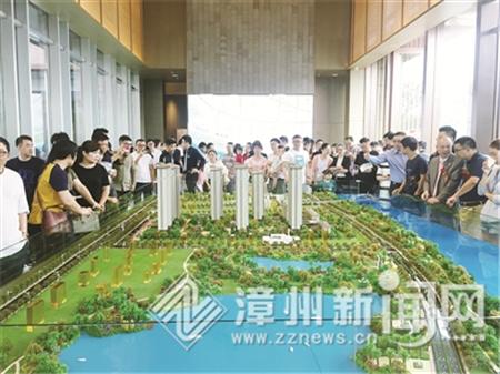 漳州上市公司名单全景解析，一览众生的视角