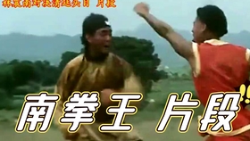 南拳王电影深度解读，南拳精神与电影艺术的融合