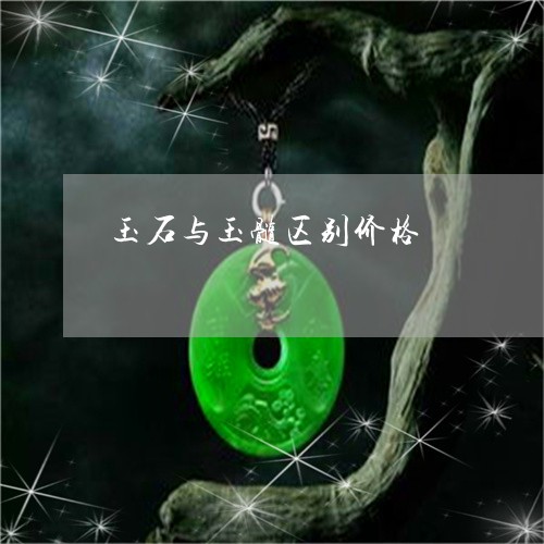 玉髓情缘揭秘，价格背后的爱与陪伴的温馨故事