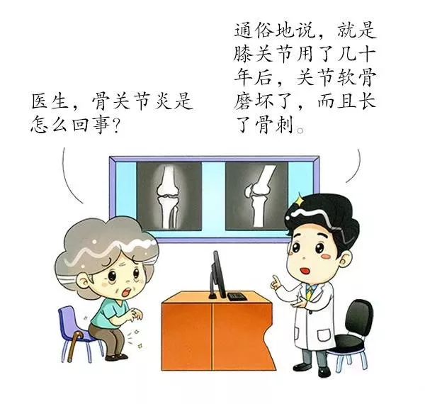 骨科动漫，自然美景探险之旅的启程