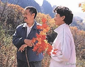 汽车销售服务 第98页