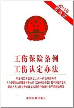 最新交通规则及保险政策解析，小故事背后的法规启示