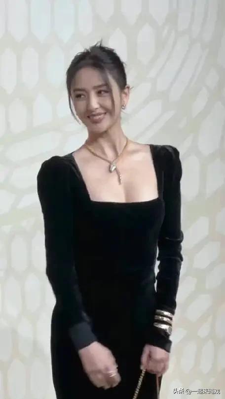 最新视频，自然美景之旅，探寻内心的平和宁静