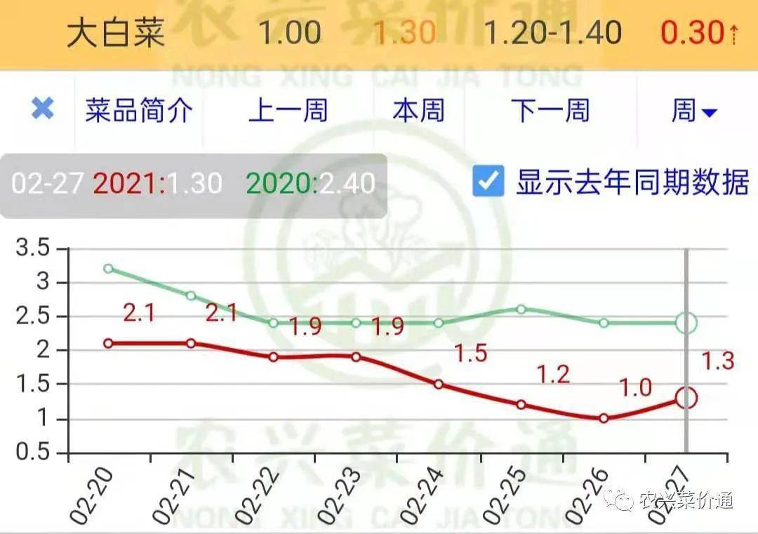 白菜价格最新行情走势分析🥬