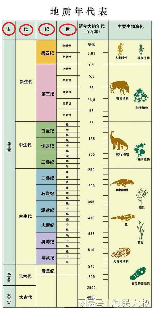 最新地质年代表制作步骤指南揭秘