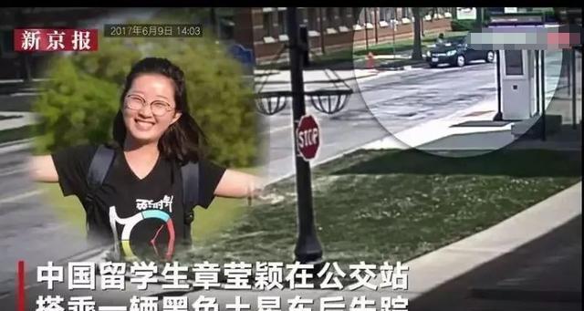 章莹颖最新消息公布，力量与学习的蜕变之路