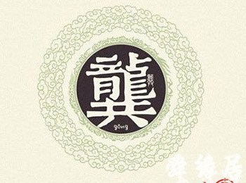 龚姓明星的星光之路，璀璨与挑战并存？
