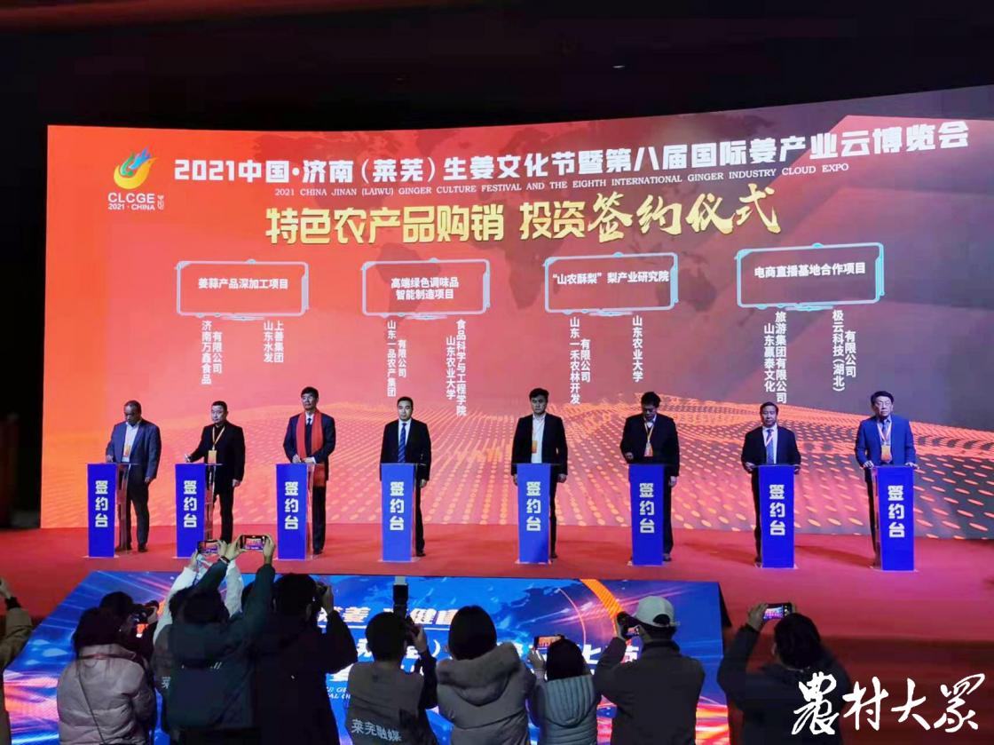 汽车销售 第81页