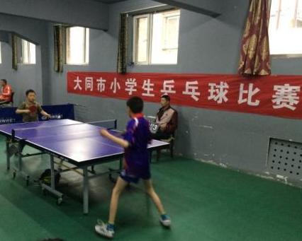 小学生比赛，自信与成就的种子在成长土壤中生根发芽