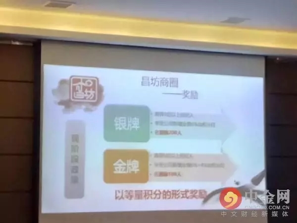 昌坊商圈新发现，小巷中的特色小店揭秘最新动态