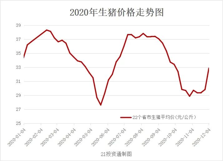 🔥最新生猪价格动态🐖