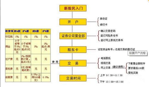 股票开户全攻略，轻松掌握投资之门，一步步开通股票账户！