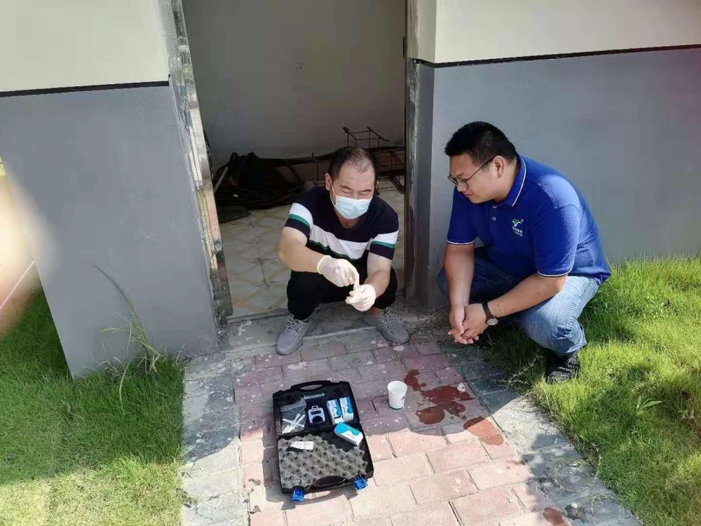 通城最新疫情实时动态更新